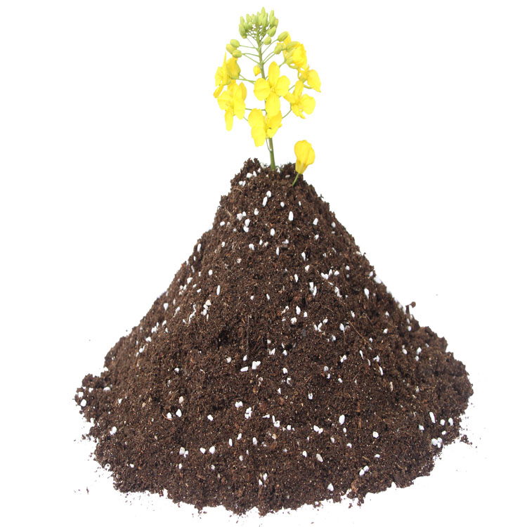 重庆 草炭土 育苗基质 轻质土 营养土 腐殖土 有机肥 厂家批发价格