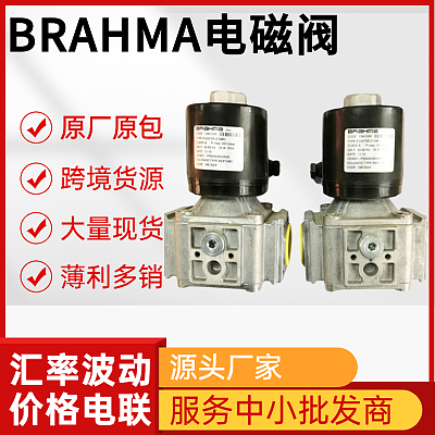 Brahma燃油电磁阀 E7/L*A3C  燃烧控制器配件